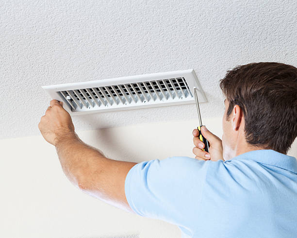 Best Environmental Consulting for Mold Prevention  in Tower City, PA